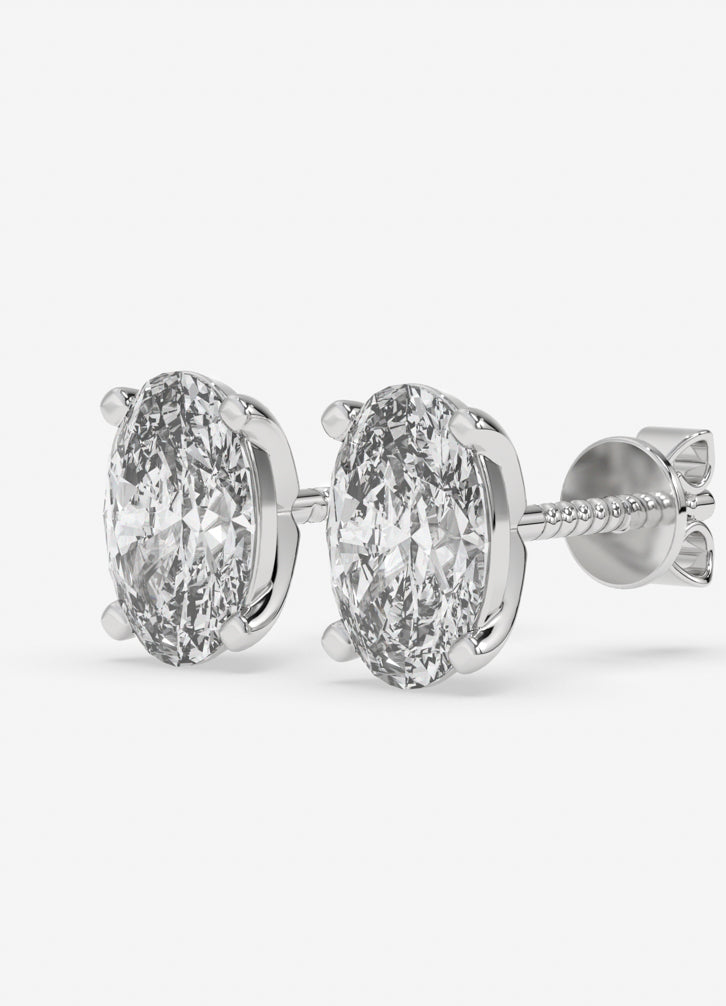 Orvella Studs in White Gold