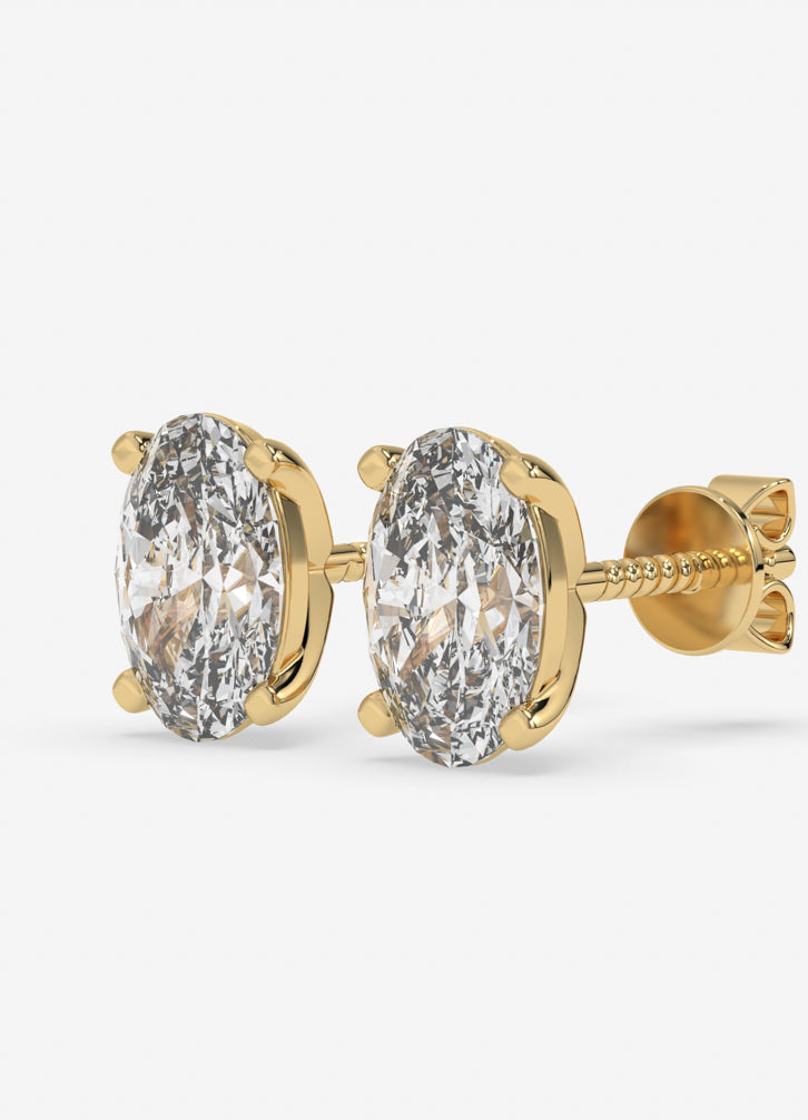Orvella Studs in Yellow Gold